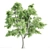 Enchanting 4-Piece Corona Tree Set 3D model small image 5