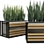 Concrete Textured Sansevieria Planter 3D model small image 2