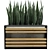 Concrete Textured Sansevieria Planter 3D model small image 3