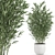 Exotic Bamboo Plant Collection 3D model small image 1