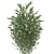 Exotic Bamboo Plant Collection 3D model small image 2