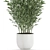 Exotic Bamboo Plant Collection 3D model small image 4