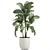 Exotic Dieffenbachia Plant in White Vase 3D model small image 3