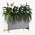 Office Greenery Set: Fern & Peace Lily 3D model small image 4