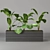 Botanical Greenery Collection 3D model small image 1