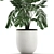 Exotic Chamaedorea: White Pot Palms 3D model small image 2