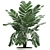 Exotic Chamaedorea: White Pot Palms 3D model small image 3