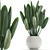 Exotic Plant Collection in White Vase 3D model small image 1