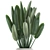 Exotic Plant Collection in White Vase 3D model small image 3