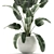 Exotic Banana Palm Collection in White Pot 3D model small image 2