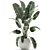 Exotic Banana Palm Collection in White Pot 3D model small image 4