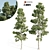 Tall Pine Twin Set 3D model small image 1