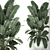 Exotic Corner Plant Collection 3D model small image 2