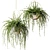 Designer Pots with Hanging Ampel Plants 3D model small image 1