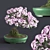 Japanese Azalea Bonsai: Tradition Transformed 3D model small image 1