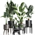 Exotic Plant Collection in Black Vase 3D model small image 1