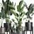 Exotic Plant Collection in Black Vase 3D model small image 3