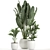 Exotic Plant Collection in White Vase 3D model small image 2