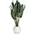 Exotic Plant Collection in White Vase 3D model small image 4