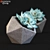 3D Cactus Model Archive 3D model small image 2