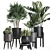 Exotic Plant Collection: Raphis Palm, Sansevieria, Monstera 3D model small image 1