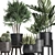 Exotic Plant Collection: Raphis Palm, Sansevieria, Monstera 3D model small image 3