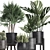 Exotic Plant Collection: Raphis Palm, Sansevieria, Monstera 3D model small image 4