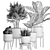 Exotic Plant Collection: Raphis Palm, Sansevieria, Monstera 3D model small image 5