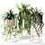 Decorative Pot Indoor Plants: Green up Your Space! 3D model small image 1