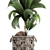 Title: Exotic Coco Collection: Decorative Young Coconut Palm in Rattan Basket 3D model small image 3