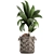 Title: Exotic Coco Collection: Decorative Young Coconut Palm in Rattan Basket 3D model small image 4