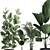 Exotic Plant Collection in Black Vase 3D model small image 3