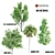 4 Tree Set: Acer, Aspen, Ash, Palm 3D model small image 1