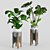  Exotic Jungle in Pots 3D model small image 1