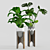  Exotic Jungle in Pots 3D model small image 2