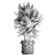Exotic Raphis Palm: Indoor and Outdoor Decor 3D model small image 5