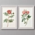 Modern Frame Collection: 2 Frames, 5 Colors, 3 Sizes 3D model small image 2