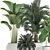 Tropical Plant Collection: Exotic Ficus & Palm 3D model small image 3