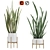 Sleek and Stylish Sansevieria 2 3D model small image 1