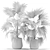 Green Oasis: Contempo Plants Collection 3D model small image 4