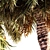 Tropical Oasis Date Palm Collection 3D model small image 3