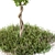 48" Outdoor Broadleaf Tree with Wild Grass 3D model small image 2