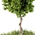 48" Outdoor Broadleaf Tree with Wild Grass 3D model small image 3