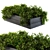 Outdoor 55: Compact Garden Plants 3D model small image 1