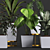 Tropical Plant Collection: Philodendron, Monstera, Ficus, Dieffenbachia & Banana 3D model small image 2