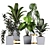 Tropical Plant Collection: Philodendron, Monstera, Ficus, Dieffenbachia & Banana 3D model small image 7