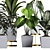 Tropical Plant Collection: Philodendron, Monstera, Ficus, Dieffenbachia & Banana 3D model small image 8