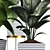 Tropical Plant Collection: Philodendron, Monstera, Ficus, Dieffenbachia & Banana 3D model small image 9