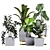 Tropical Plant Collection: Philodendron, Monstera, Ficus, Dieffenbachia & Banana 3D model small image 10