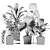 Tropical Plant Collection: Philodendron, Monstera, Ficus, Dieffenbachia & Banana 3D model small image 11